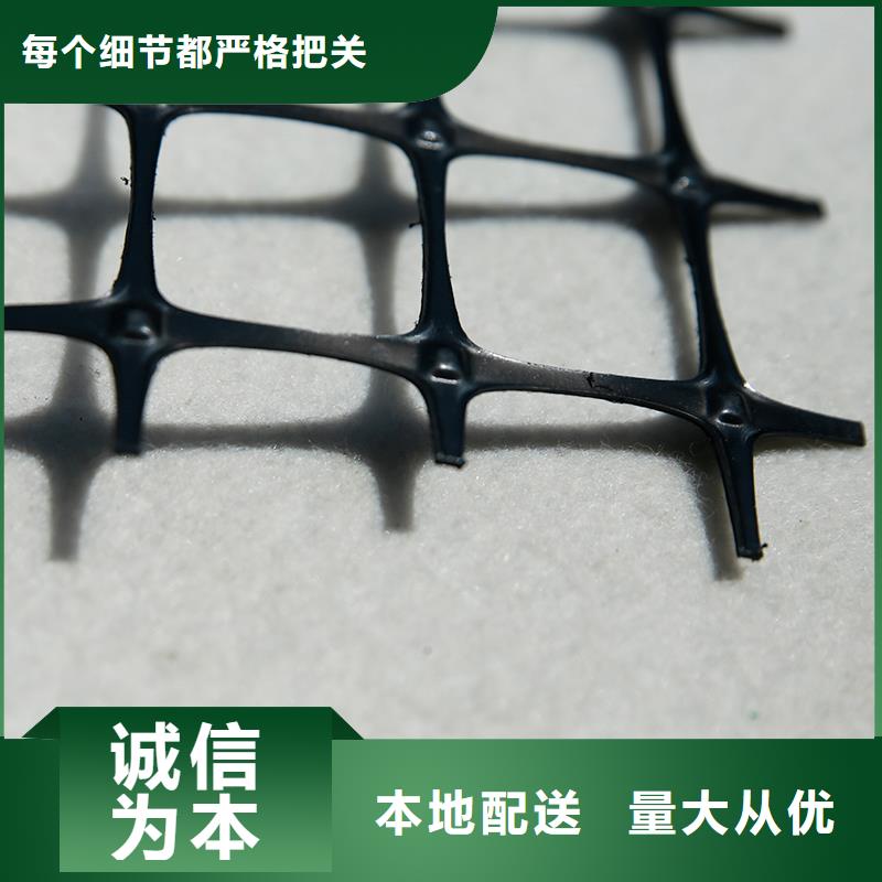 塑料土工格柵實體廠家同城貨源