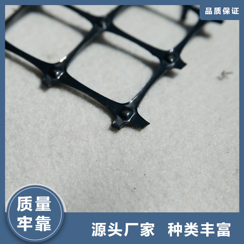 鋼塑土工格柵工廠直銷廠家規(guī)格全