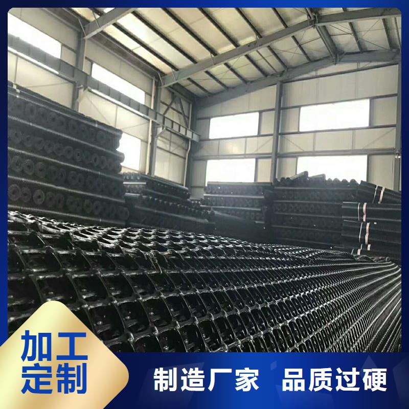 玻纤土工格栅实体厂家同城供应商