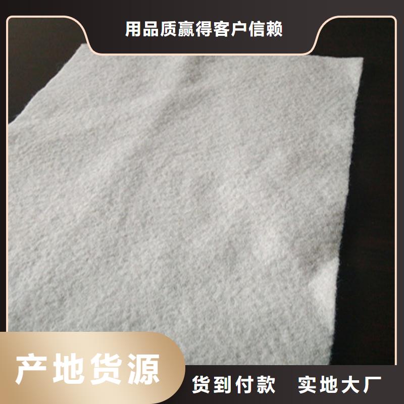 【土工布HDPE复合排水板专业生产制造厂】精心打造