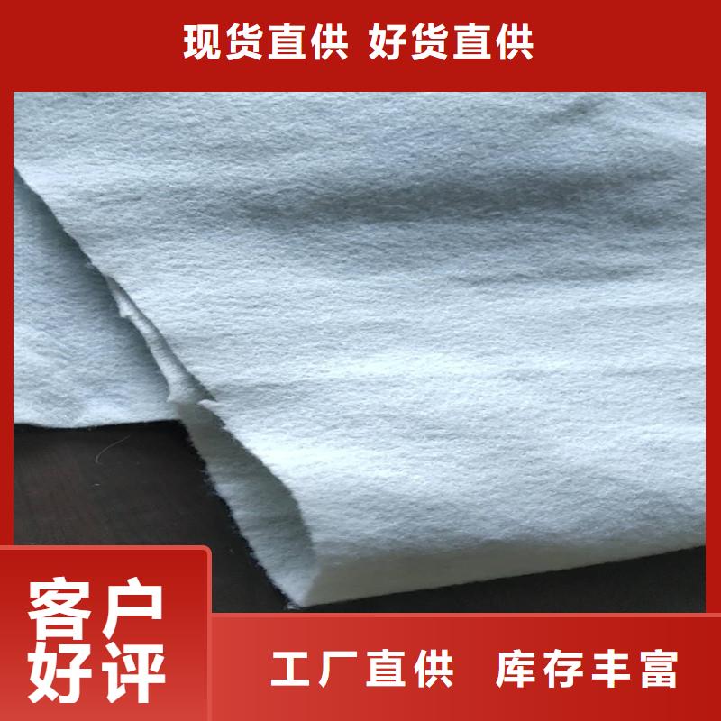 土工布80KN玻纤格栅专业设计我们更专业