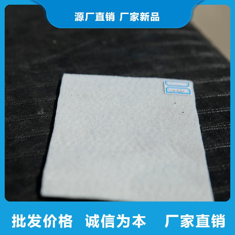 土工布HDPE复合排水板现货销售当地生产厂家