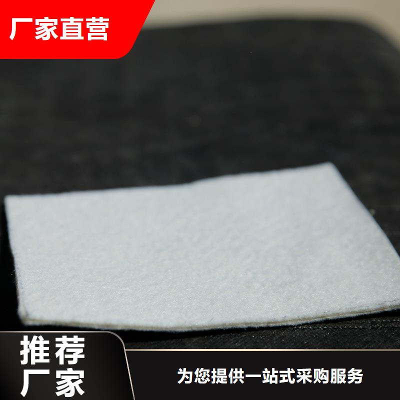 公路土工布哪有卖的当地制造商