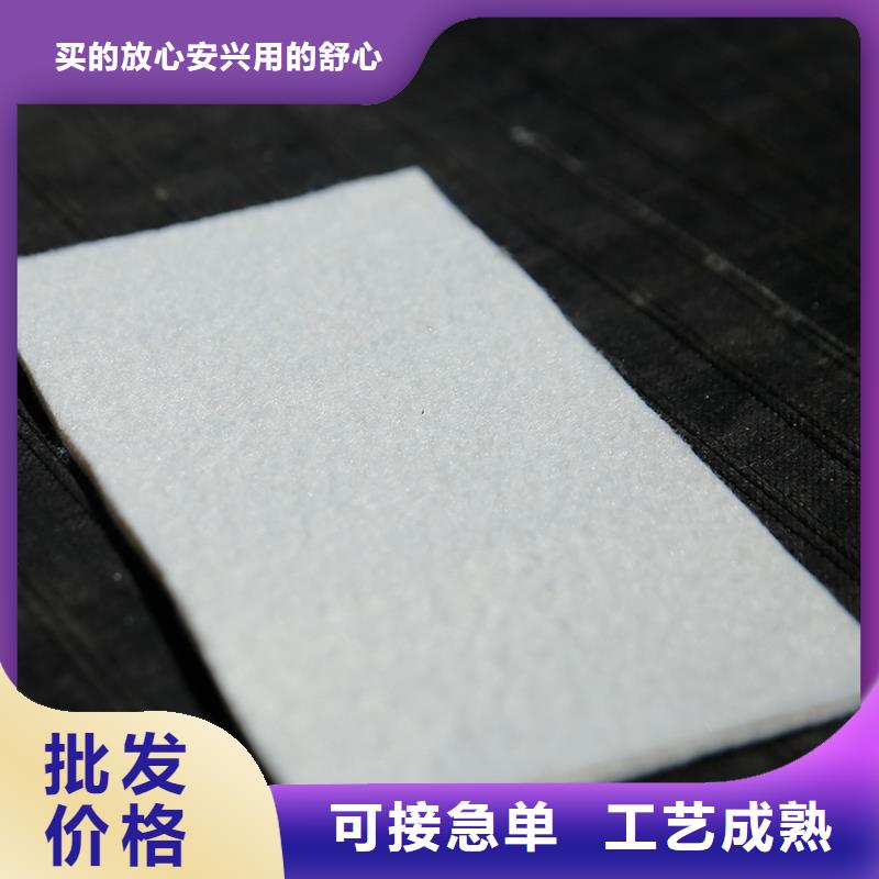 土工布-【玻纖土工格柵】廠家售后完善品質(zhì)優(yōu)選