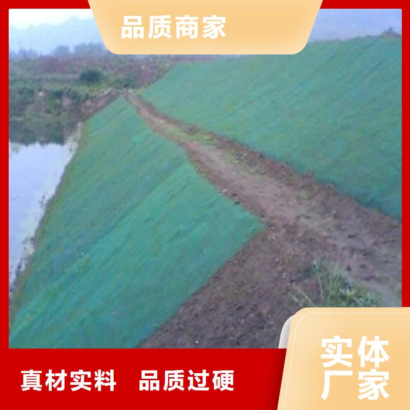 防渗土工膜报价现货直供