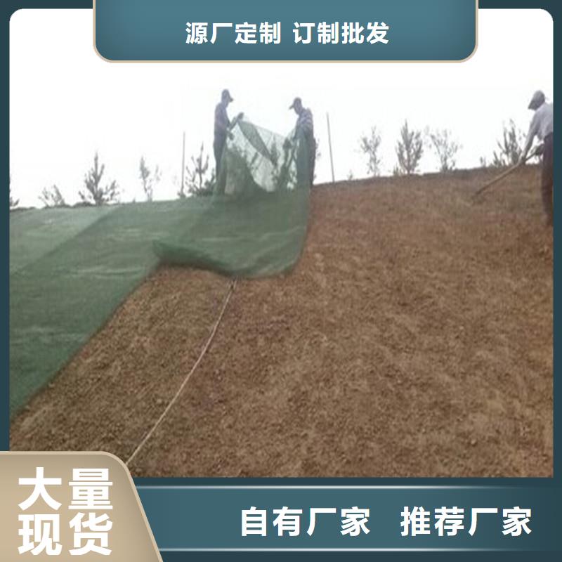 兩布一膜價(jià)格同城生產(chǎn)商