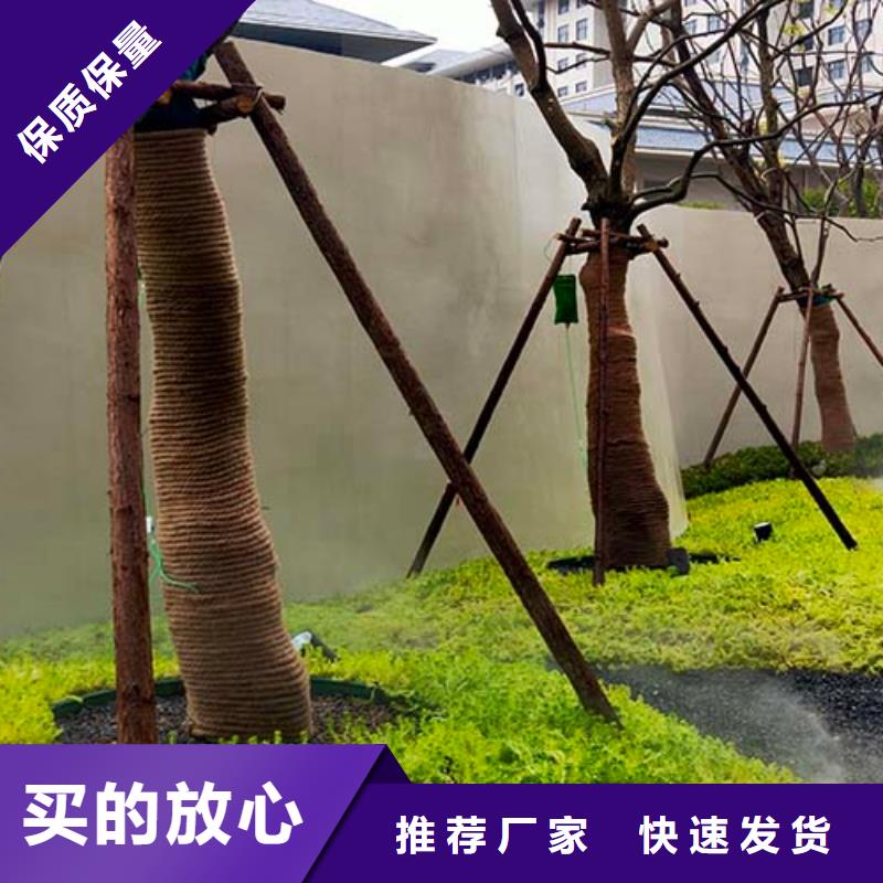 【微水泥】艺术灰泥墙面漆分类和特点好货采购
