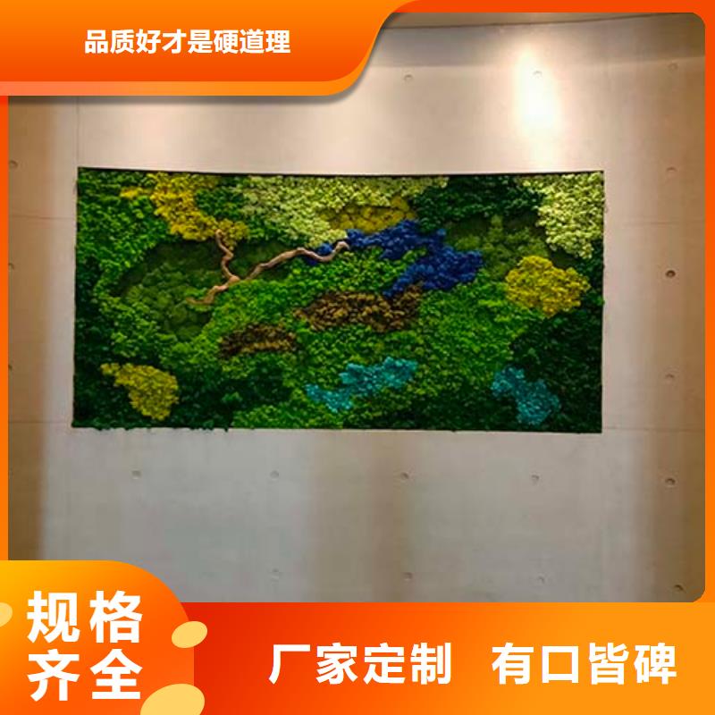 质感微水泥施工工艺品质做服务