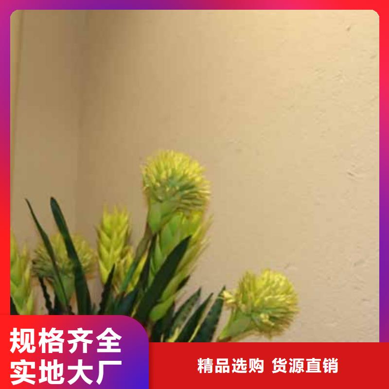雅晶石_微水泥馬來漆定金鎖價專業(yè)生產(chǎn)團隊