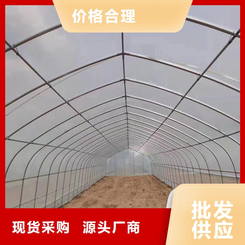 楊梅單體大棚價(jià)格實(shí)惠免費(fèi)指導(dǎo)您想要的我們都有