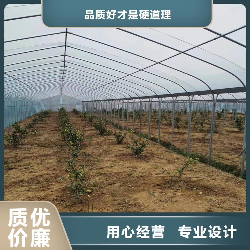 單體大棚廠家-做工精細(xì)同城公司