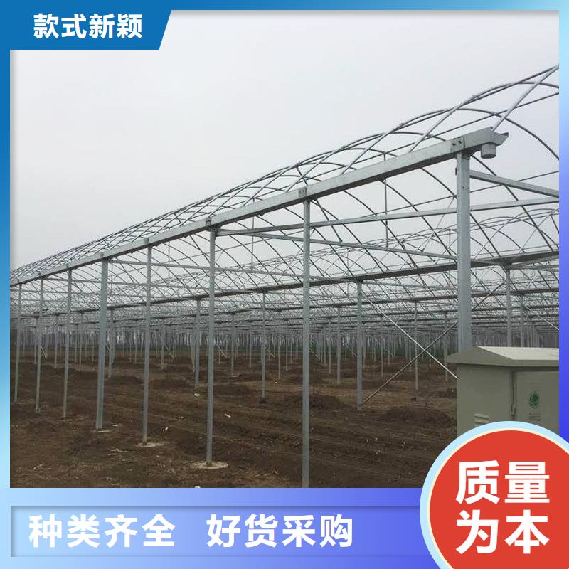 ?貢井區(qū)葡萄避雨大棚的設(shè)計(jì)【修飾詞當(dāng)?shù)毓?yīng)商