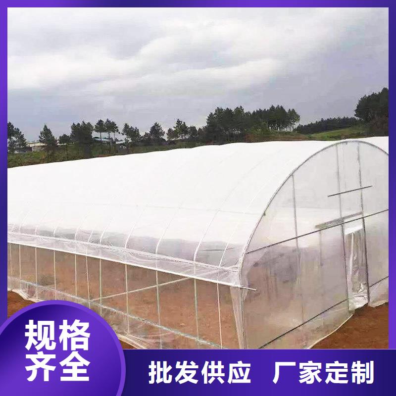 大棚鋼管廠家價(jià)格優(yōu)惠低價(jià)貨源