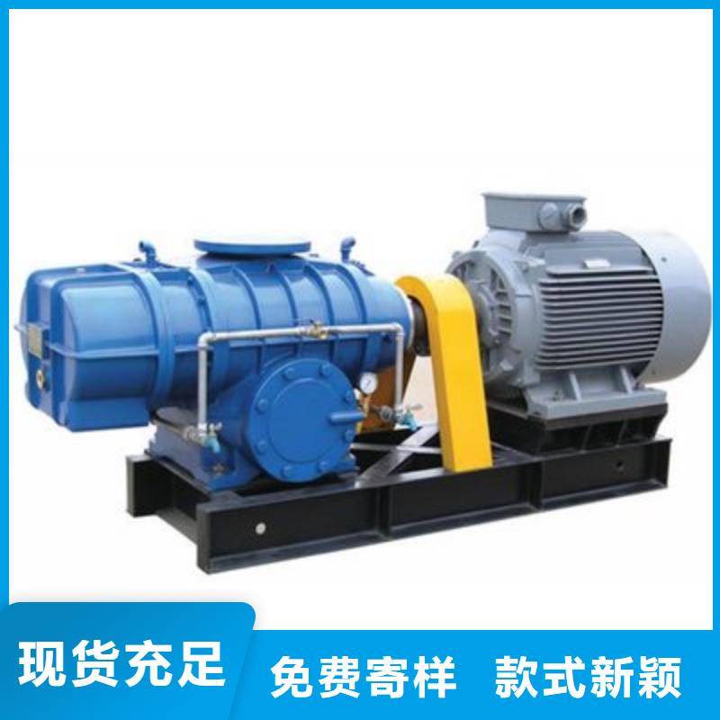 臨風(fēng)股份兩葉羅茨風(fēng)機LFSR100本地服務(wù)商