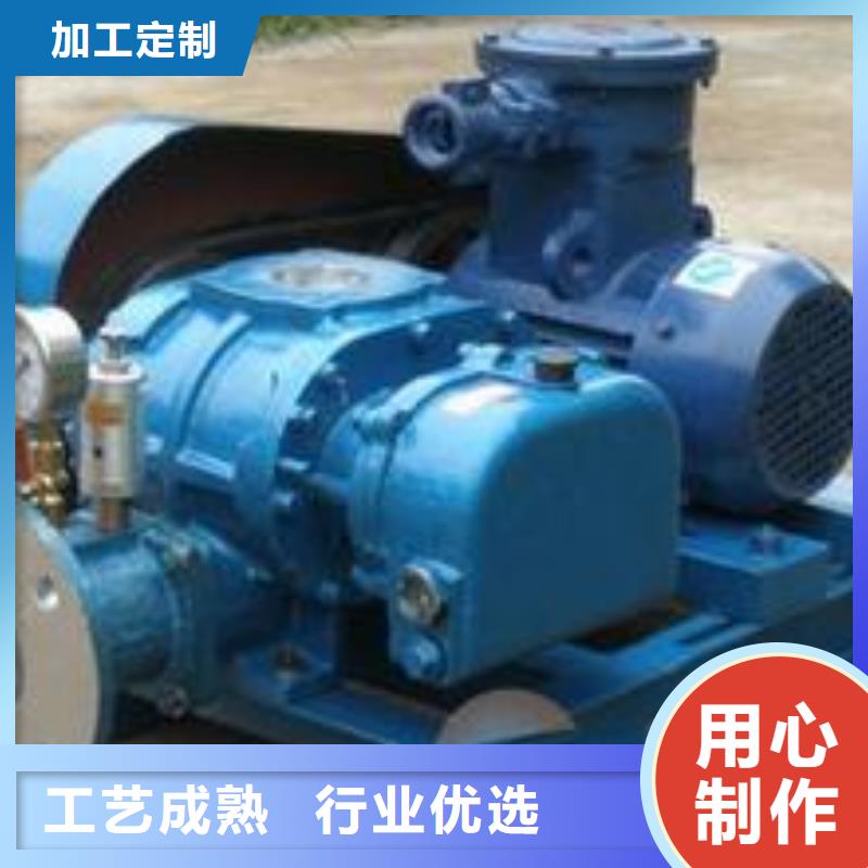 山东临风科技股份两叶罗茨风机LFSR100实时报价