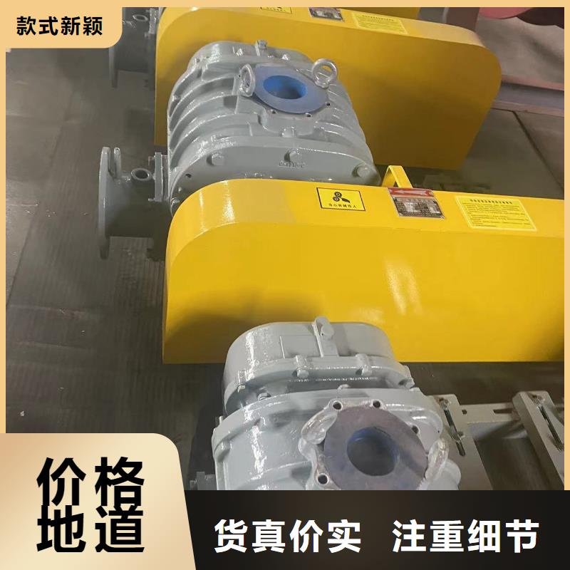 每日两叶罗茨风机LFSR65本地公司