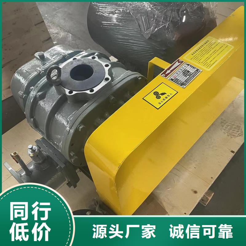 山東臨風(fēng)科技股份有限公司洗煤專用羅茨風(fēng)機(jī)LFSR125多家倉庫發(fā)貨