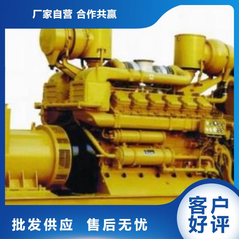 進口發(fā)電機租賃價格-廠家本地公司