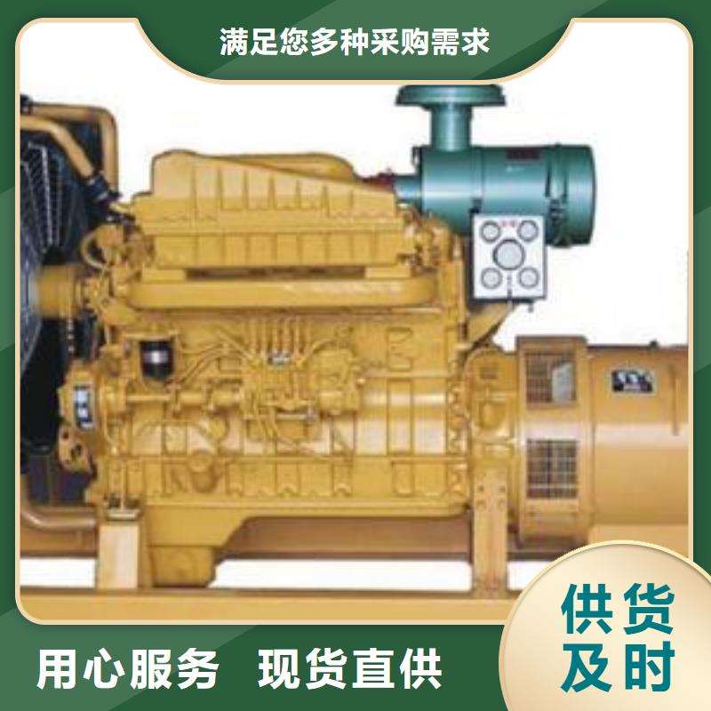 大功率發(fā)電機租賃工地專用服務(wù)當(dāng)?shù)仄放? width=