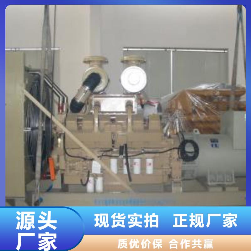 專業(yè)銷售100-2000千瓦發(fā)電機(jī)租賃廠家同城廠家