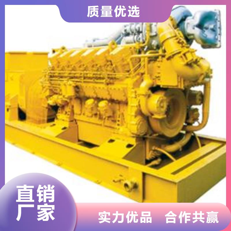 低壓轉(zhuǎn)高壓發(fā)電機(jī)運(yùn)動會主副應(yīng)用庫存豐富