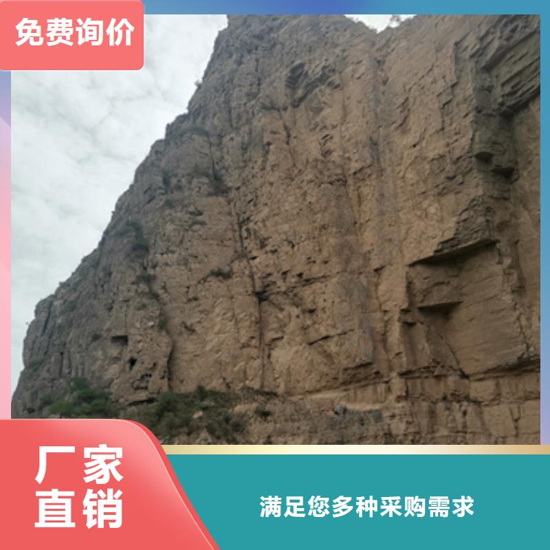 應(yīng)急服務(wù)汽油靜音發(fā)電機(jī)租賃N年大品牌