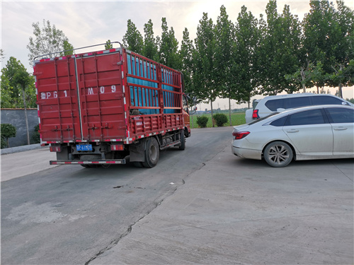 發(fā)電機變壓器租賃800kw發(fā)電機租賃廠家實力雄厚精工細致打造