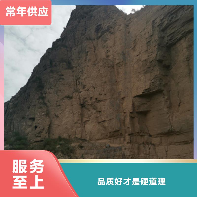 出租高壓發(fā)電機(jī)專注生產(chǎn)N年