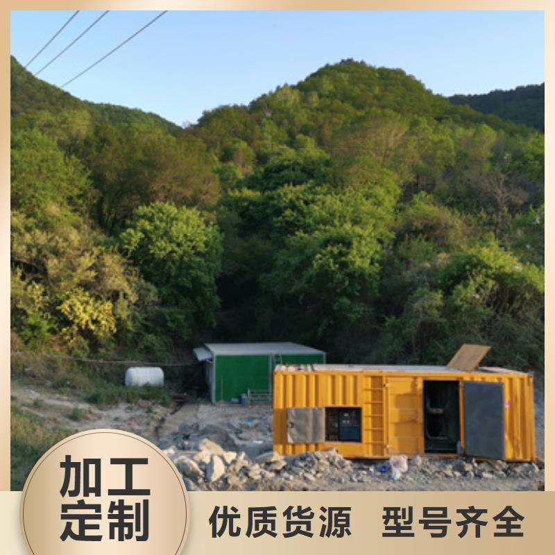專業(yè)租賃發(fā)電機(jī)當(dāng)?shù)貜S家