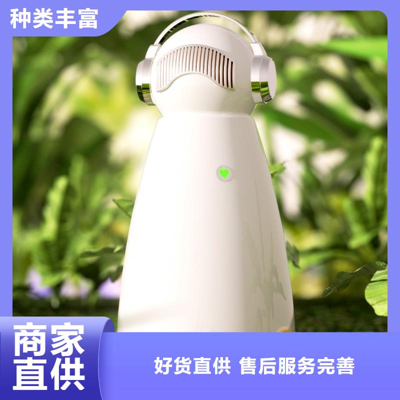 【深圳】艾森智控空氣氧吧用什么效果好小白祛味王低價(jià)貨源