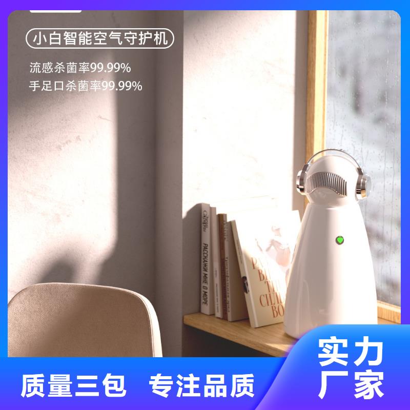艾森智控車載空氣凈化器銷售熱線真材實料誠信經(jīng)營本地廠家