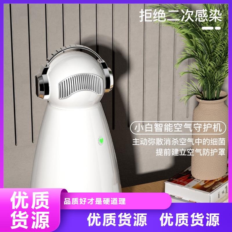 艾森智控_車載空氣凈化器銷售保質(zhì)保量本地生產(chǎn)廠家