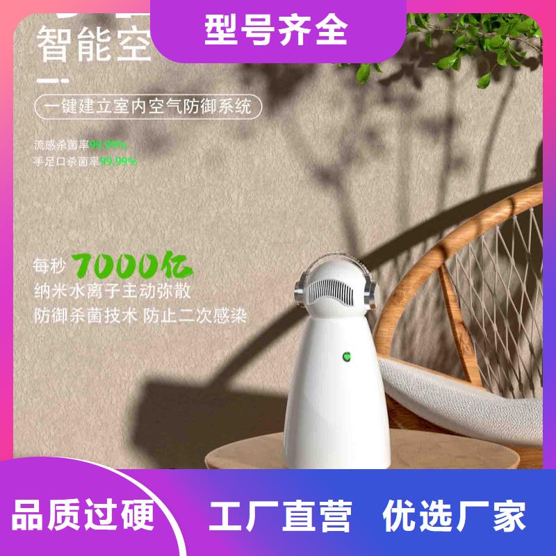 小白婴儿空气守护机车载空气净化器生产厂家支持货到付清生产经验丰富