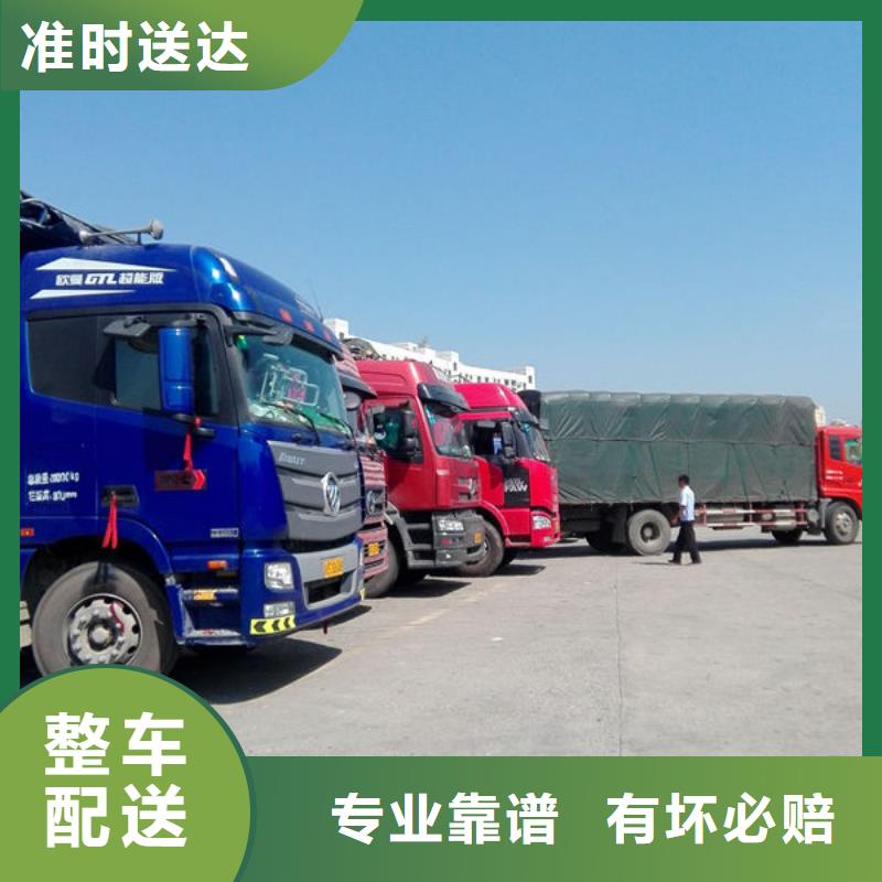 東莞市到山南專線運輸天天發(fā)車