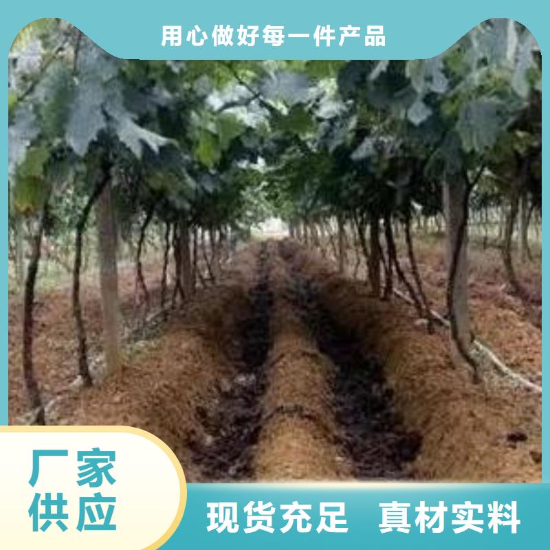 發(fā)酵雞糞市場價格同城貨源
