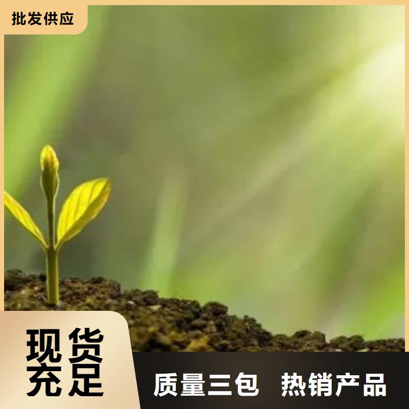 干雞糞蘋(píng)果樹(shù)施肥甄選好廠家