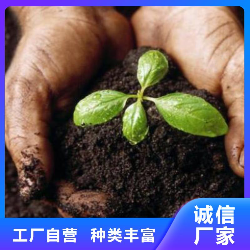 碭山沂水新沂稻殼雞糞哪里有這種本地生產(chǎn)廠家