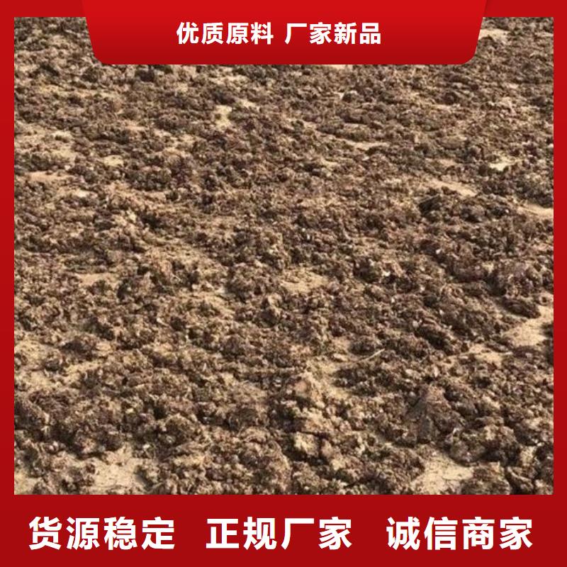 高唐臨清冠縣干雞糞歡迎咨詢源頭廠家來圖定制