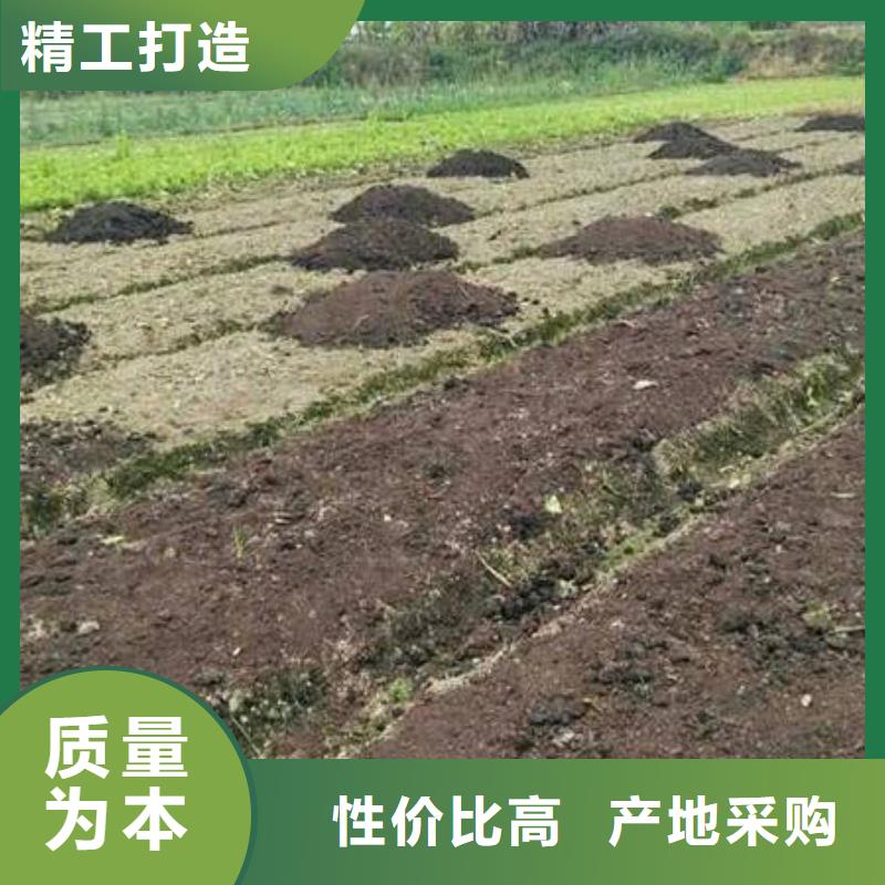 珠海深圳有機(jī)肥怎樣給蔬菜增肥品質(zhì)優(yōu)選