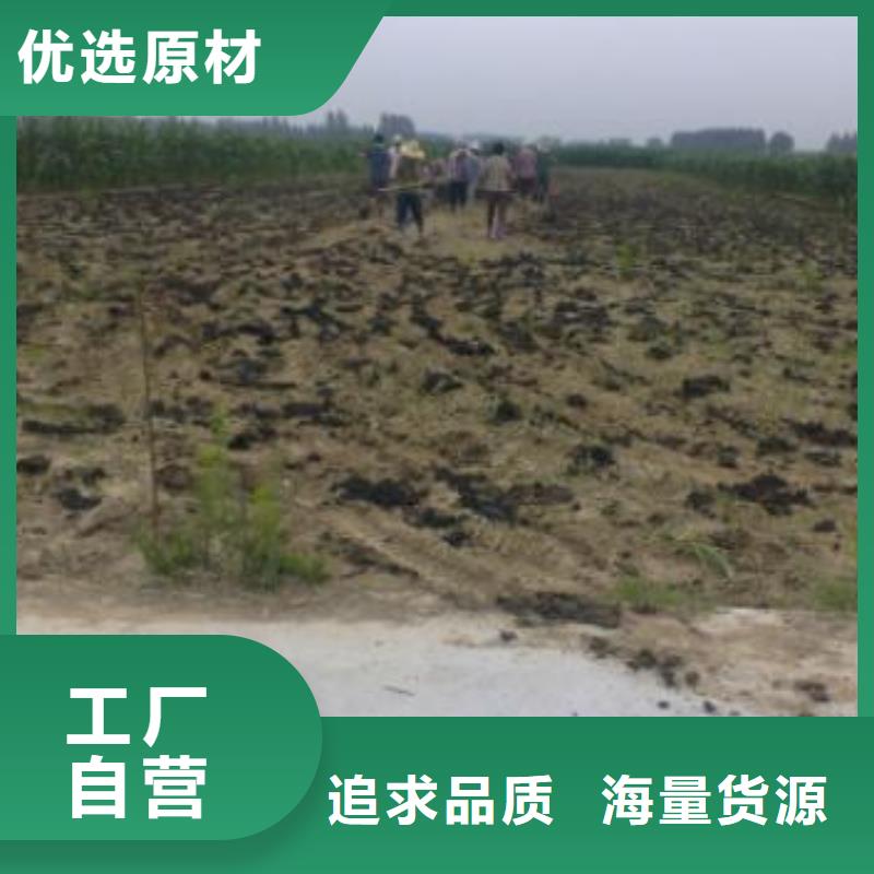佛山石灣街道干雞糞土壤肥力本地品牌