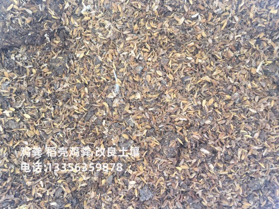 發(fā)酵雞糞肥沃土壤