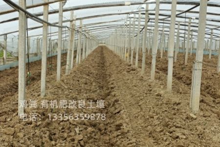 稻壳鸡粪好用吗