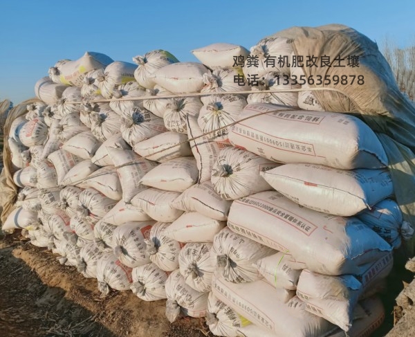 稻殼雞糞肥田壯苗本地供應(yīng)商