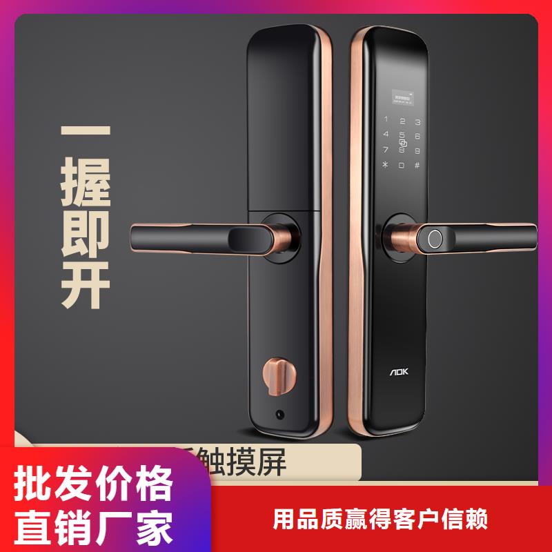 人臉識別智能鎖源頭廠家您身邊的廠家