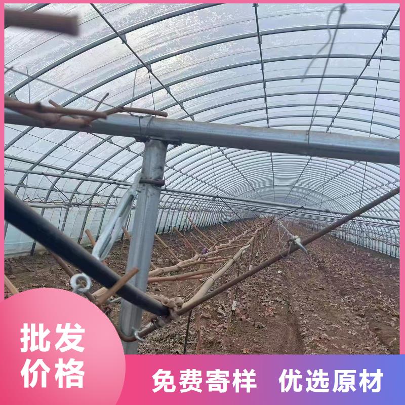 【温室大棚玻璃温室制作加工有口皆碑】精工细作品质优良