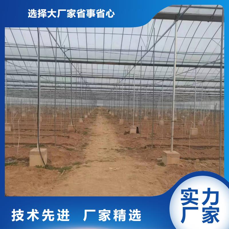 温室大棚配件安装生产同城供应商