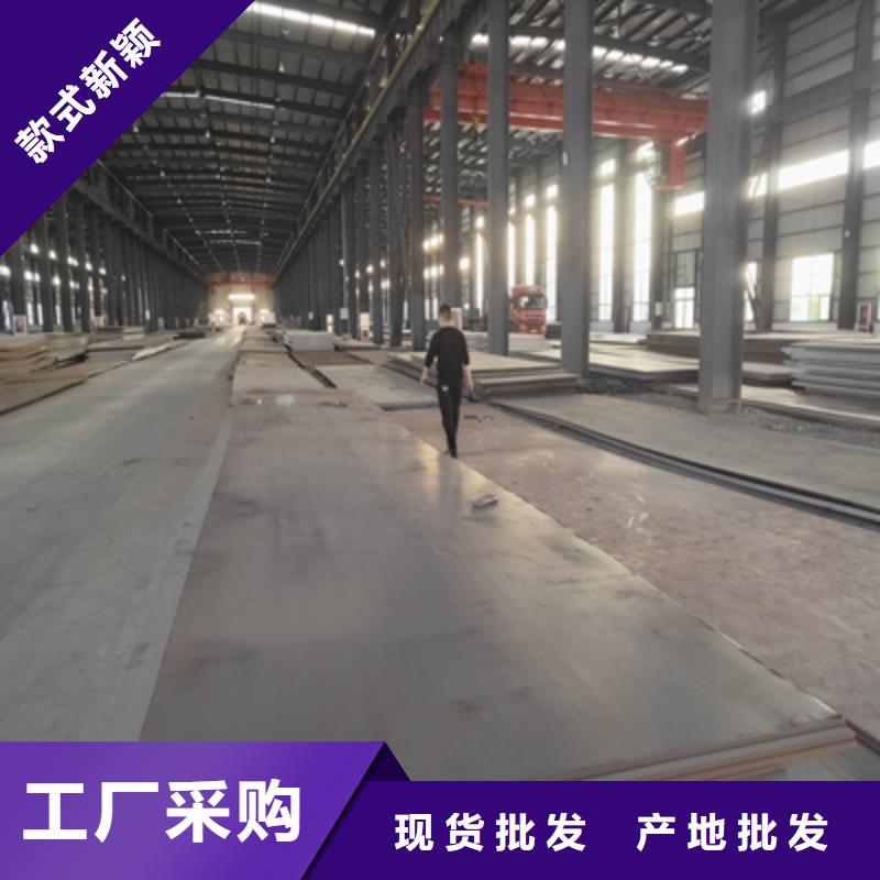 大梁鋼板廠家價(jià)格售后無(wú)憂