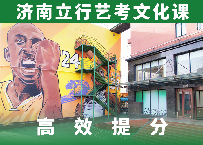 藝考生文化課美術(shù)藝考保證學(xué)會
