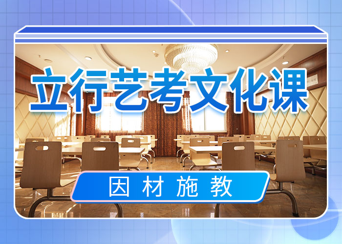 藝考文化課集訓(xùn)高考語(yǔ)文輔導(dǎo)正規(guī)培訓(xùn)
