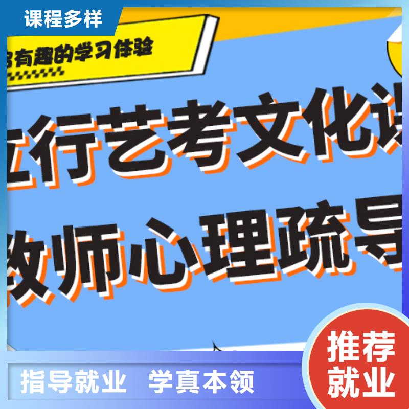 藝術(shù)生文化課培訓(xùn)學(xué)校價格強大的師資配備師資力量強